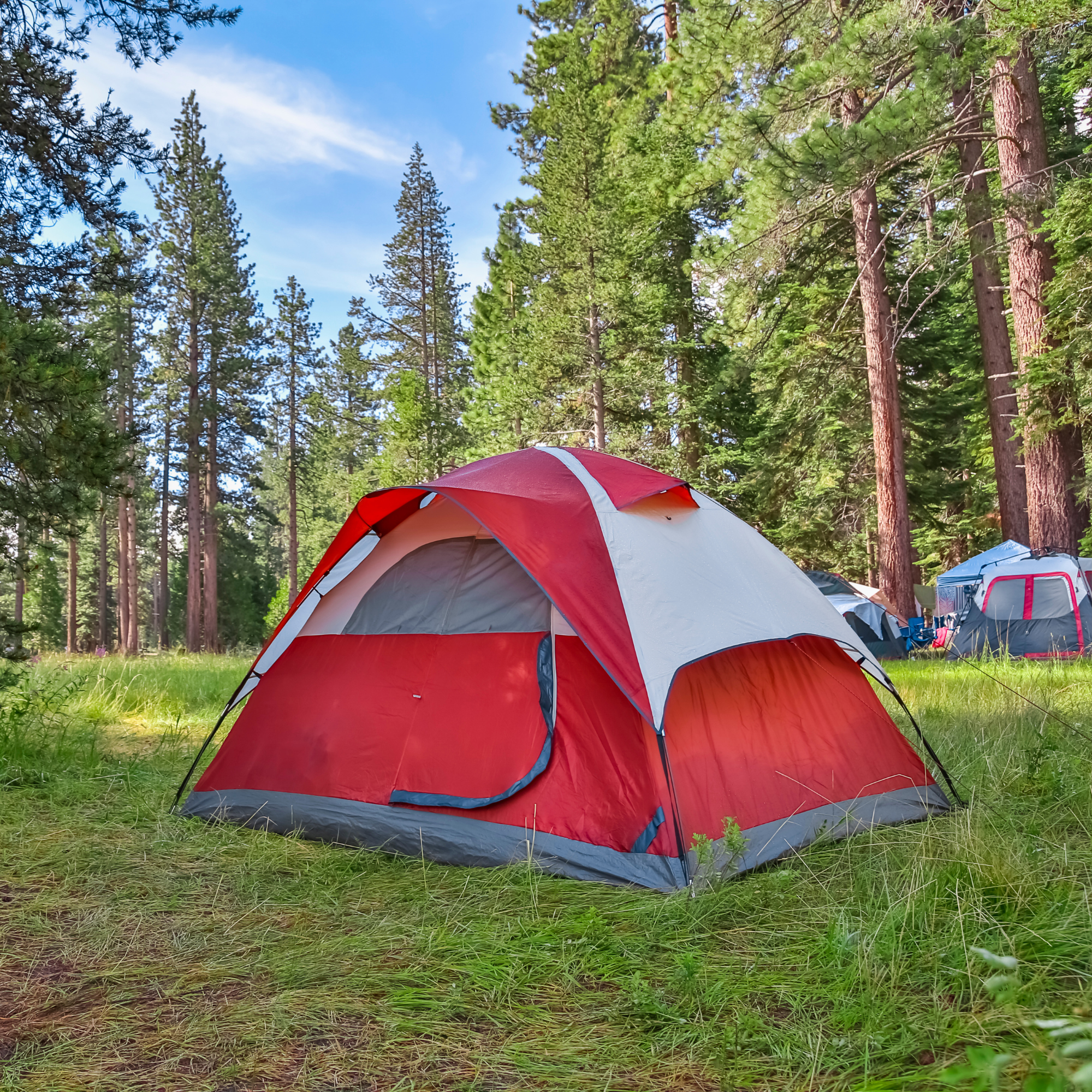 Reliable Shelter Wherever You Camp